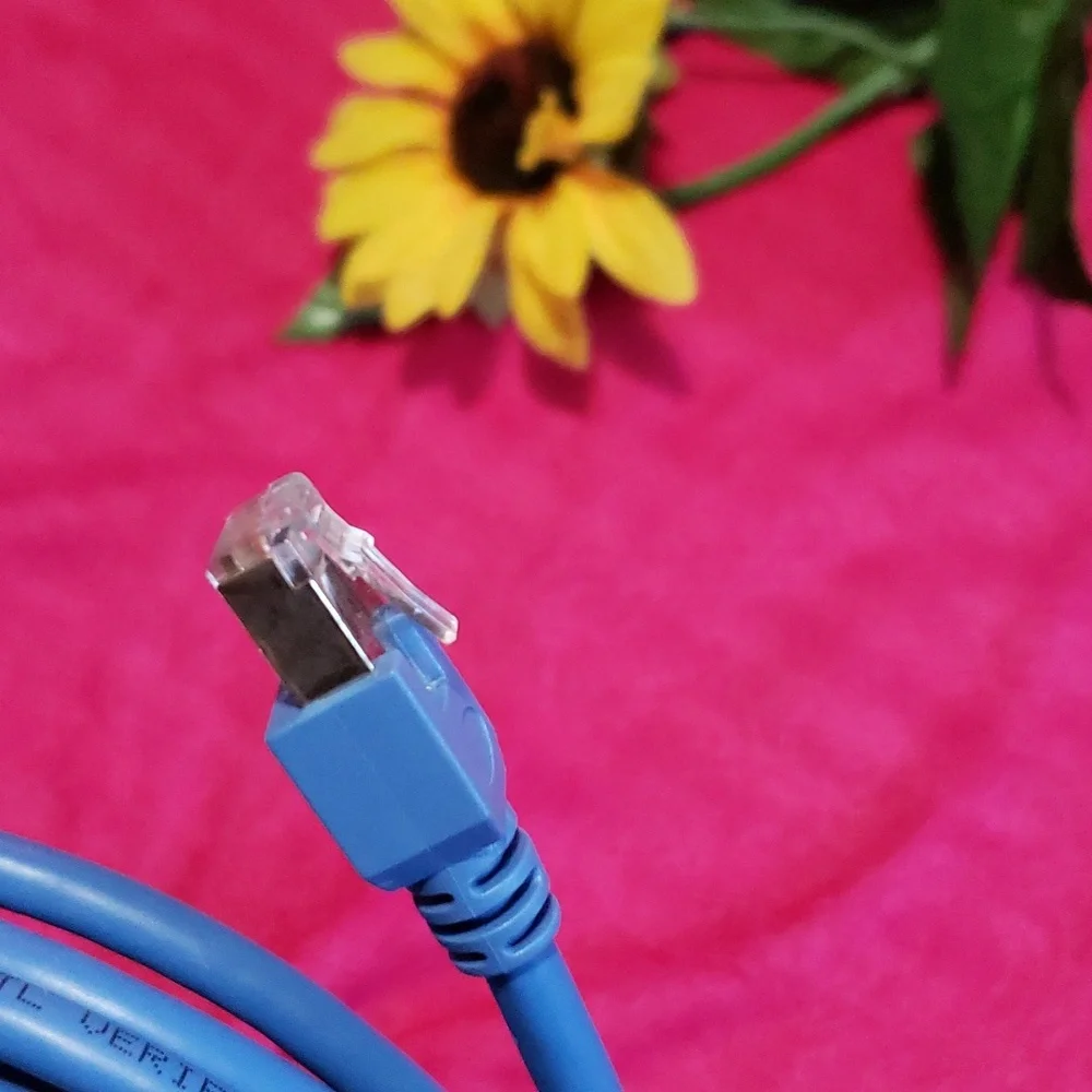 Cat 5e 10' patch cord Blue 